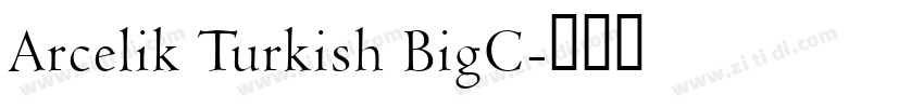 Arcelik Turkish BigC字体转换